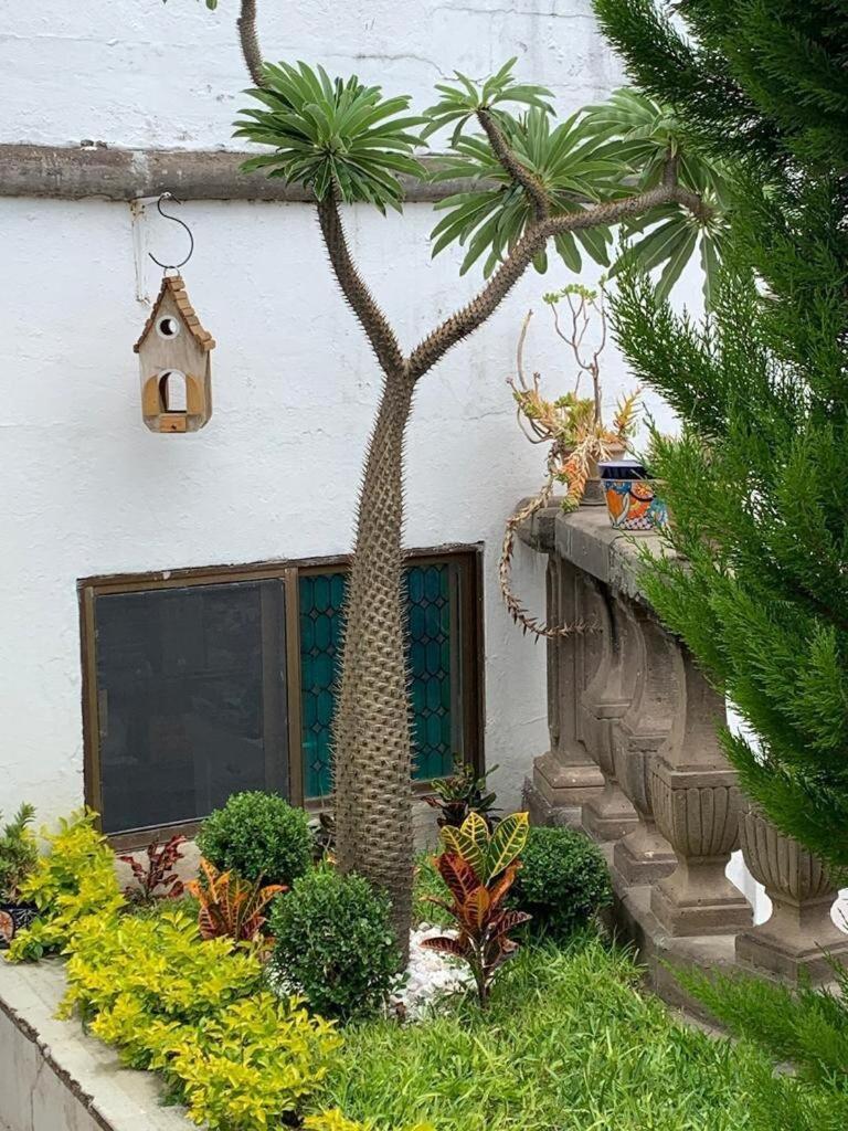 Сasa de vacaciones Casa Bugambilia