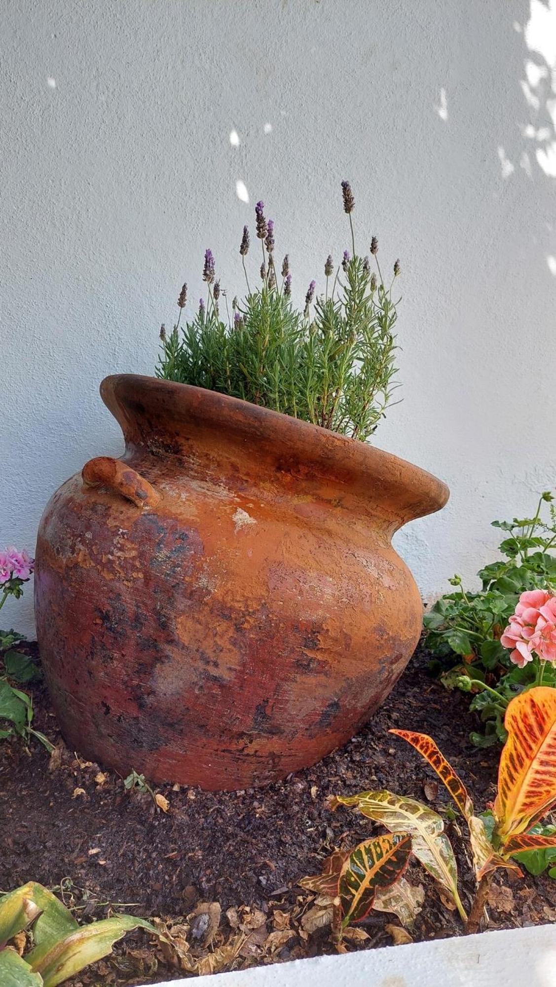 Сasa de vacaciones Casa Bugambilia Guanajuato