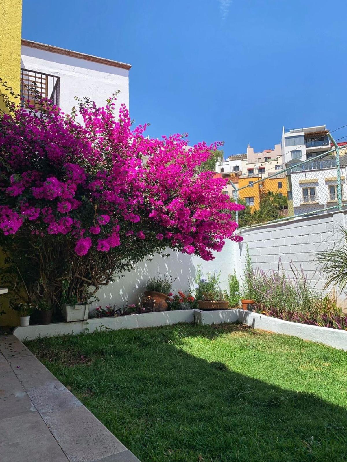 Сasa de vacaciones Casa Bugambilia Guanajuato